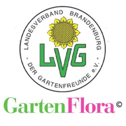 Verbandsinformationen Brandenburger GartenFlora 04/2022    